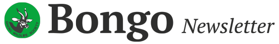 Bongo Newsletter