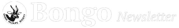 Bongo Newsletter