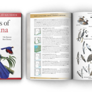 Birds-of-Ghana