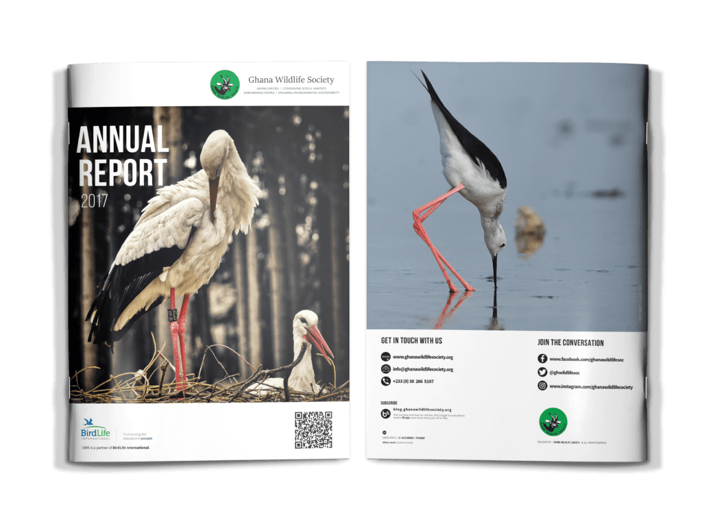 A4 brochure Catalog mockup 05-min