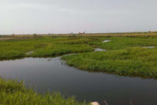 Nature_Reservation_site_RAMSAR_SITE_Sakumono_Tema_Ghana_03-scaled-780x550-1.jpg